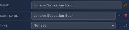 The Details panel in edit mode: Name, Sort Name, and Type as inline inputs, each with a lock toggle and clear / fetch icons; the Name field is locked with an amber padlock